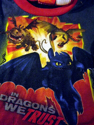 How to Train Your Dragon T-Shirt: Toothless (2T)