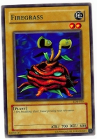 Yu-Gi-Oh! Legend of Blue-Eyes White Dragon Card: Firegrass