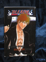 Bleach Fan Book: Official Character Book 'Souls'